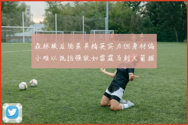 森林狼后场虽具精英实力但身材偏小难以抵挡强敌如雷霆马刺火箭掘金